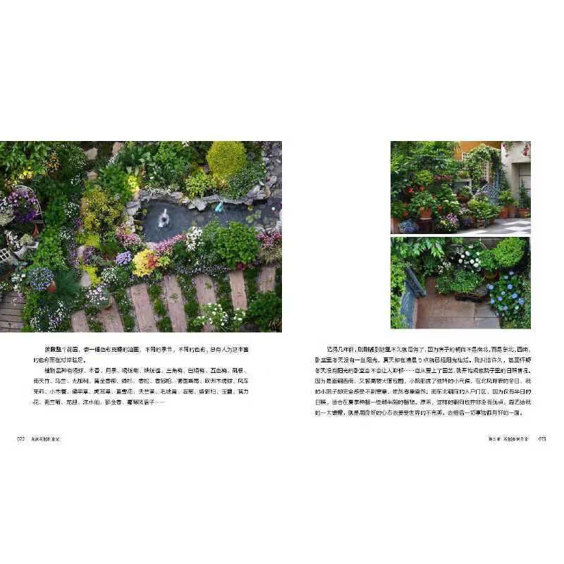 私家花園打造記 從庭院設(shè)計(jì)到綠化種植的全流程指南